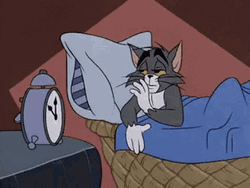 Sleepy Tom Cat Go To Sleep GIF