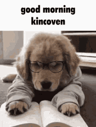 Sleepyhead Student Dog Good Morning Puppy GIF