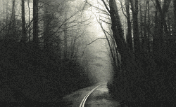 Slenderman Waiting In The Forest GIF
