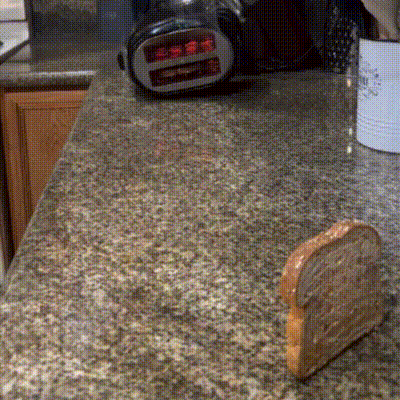 Slice Of Bread Next To Toaster GIF
