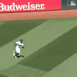 Slide Catch Major League Baseball GIF