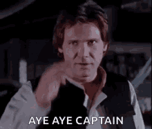 Slight Aye Aye Captain GIF