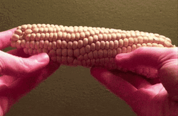  Slime Satisfying Crushing Corn GIF