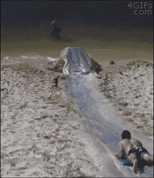 Slip In Slide Basketball  GIF