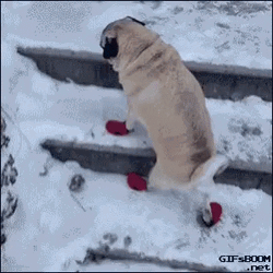 Slipping On Ice GIF