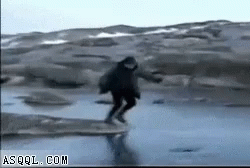 Slipping On Ice GIF