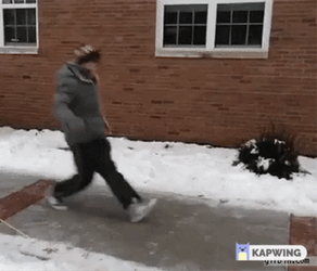 Slipping On Ice GIF