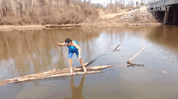 Slipping On The Fallen Tree GIF