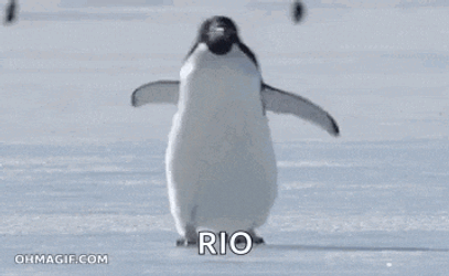 Slipping Penguin GIF