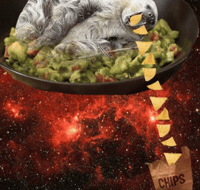 Sloth Eating Guacamole With Chips GIF