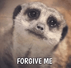 Sloth Forgive Me GIF