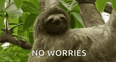 Sloth Hanging From Tree No Worries GIF