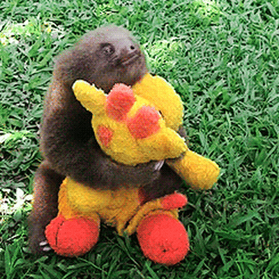 Sloth Holding Yellow Stuffed Animal With Red Hearts GIF