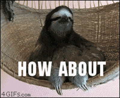 Sloth Laying In Hammock Saying How About GIF