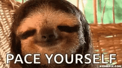 Sloth Laying In Hammock Saying Pace Yourself GIF