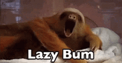 Sloth Lazy Bum GIF