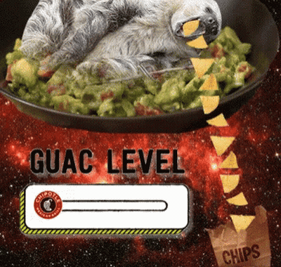 Sloth Lying On Guacamole With Chips GIF