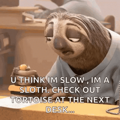 Sloth Says You Think I'm Slow GIF