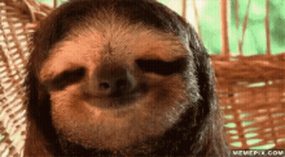 Sloth Sitting In Wicker Chair Smiling GIF