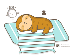 Sloth Sleeping Cute Animal