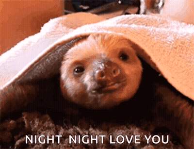 Sloth Under Blanket Saying Night Night Love You GIF