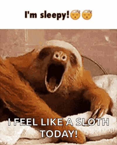 Sloth With Mouth Open Saying I'm Sleepy I Feel Like A Sloth Today GIF