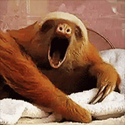 Sloth Yawning On Towel GIF