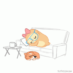 Slothilda Take Nap Time After Work GIF