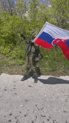 Slovakia Army Waving Flag GIF