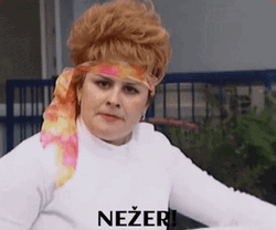 Slovakia Funny SOS Cast Polnisnova GIF