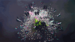 Slow Motion Butterflies GIF