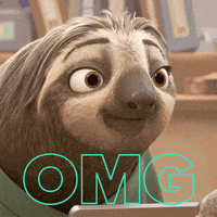 Slow Motion Koala Omg Reaction GIF