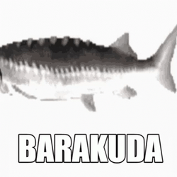 Slow Moving Spinning Barakuda Fish GIF