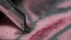 Slowmotion Tattoo Inking GIF