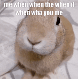 Slungus Explosion GIF