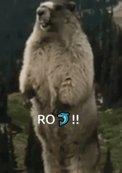 Small Animal Walking Near Rock GIF