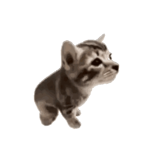 Small Black Cat Standing Sticker
