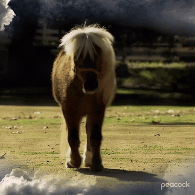 Small Brown And White Horse In Field With Clouds Saying Peacock GIF
