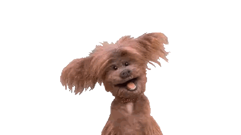 Small Brown Dog Looking Up Sticker