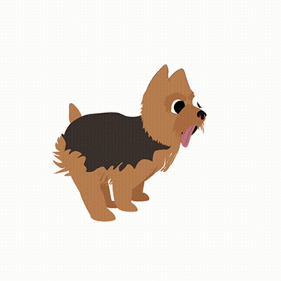 Small Brown Dog Running In Sweater GIF