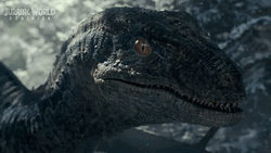 Small Dinosaur Of Jurassic World Screeching GIF