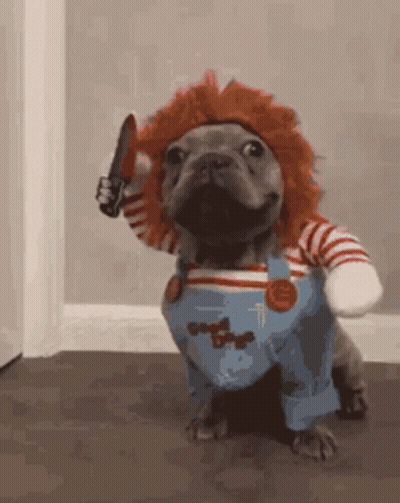 Small Dog Dressed As Chucky Holding Knife GIF