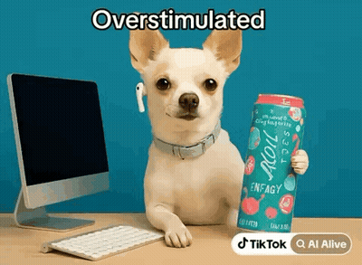 Small Dog Holding Energy Drink In Front Of Computer GIF