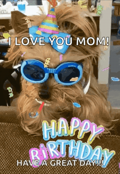 Small Dog In Sunglasses And Party Hat Says I Love You Mom GIF