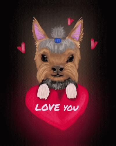 Small Dog Lying On Couch With Try It I Dare You GIF