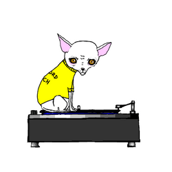 Small Dog On Spinning CD Player GIF
