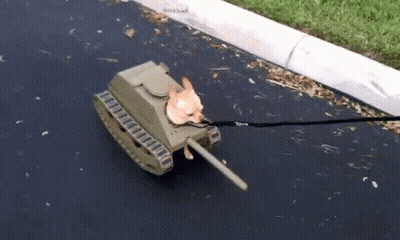 Small Dog Pulled By Cardboard Tank On Leash GIF