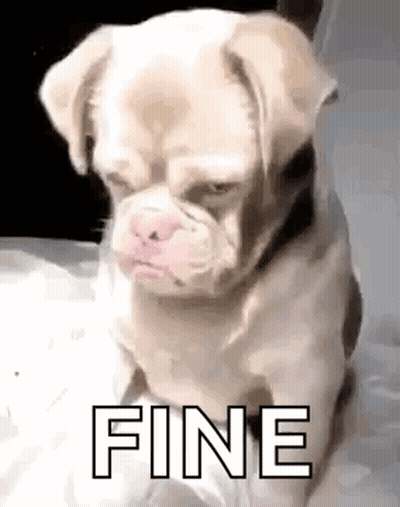 Small Dog Saying Fine