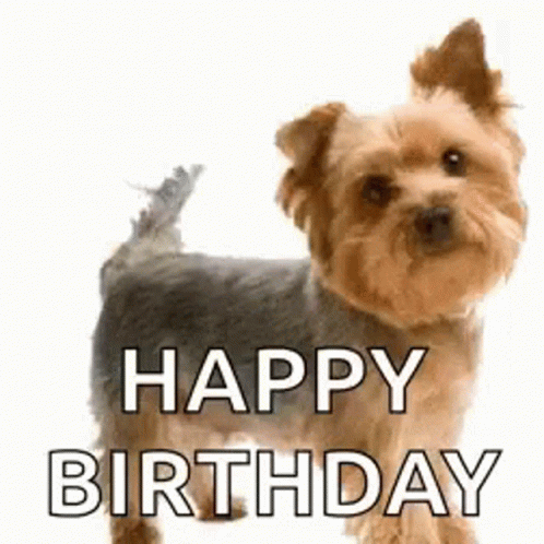 Small Dog Saying Happy Birthday GIF