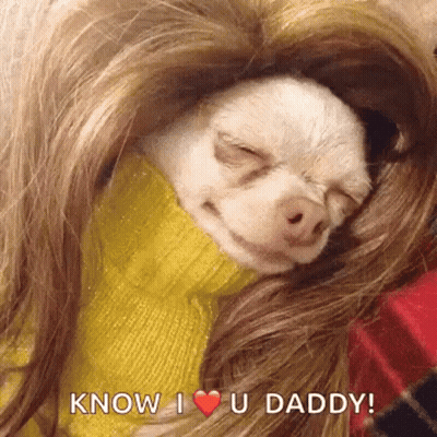 Small Dog Sleeping In Woman Hair Saying Know I Love U Daddy GIF